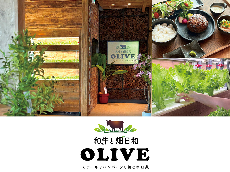 和牛と畑日和 OLIVE